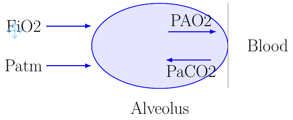 Alveolar Gas Equation