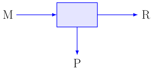 Relación de Purga