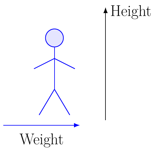 Body Mass Index
