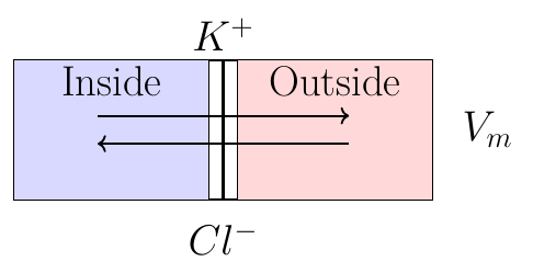 Potencial de Membrana de Goldman-Hodgkin-Katz