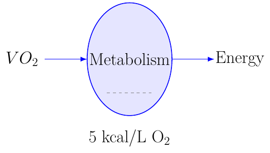 Gasto Energético Metabólico