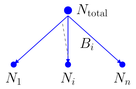 Branching Fraction