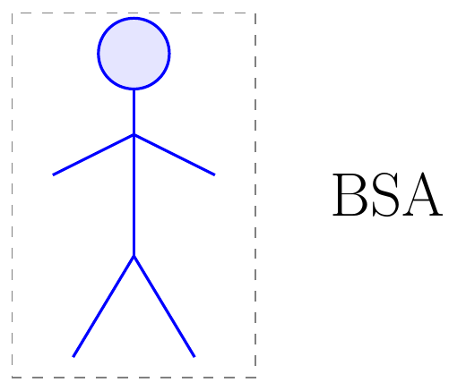 Body Surface Area