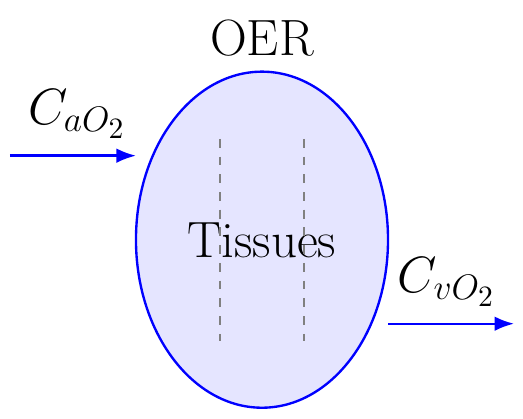 Oxygen Extraction Ratio