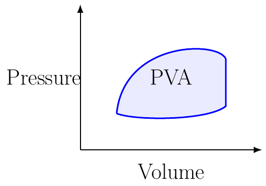 Pressure–Volume Area Estimate