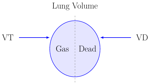 Physiological Dead Space Fraction