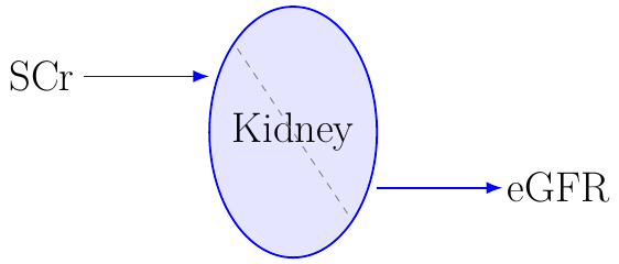 CKD-EPI Estimated GFR