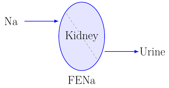 Excreción Fraccional de Sodio