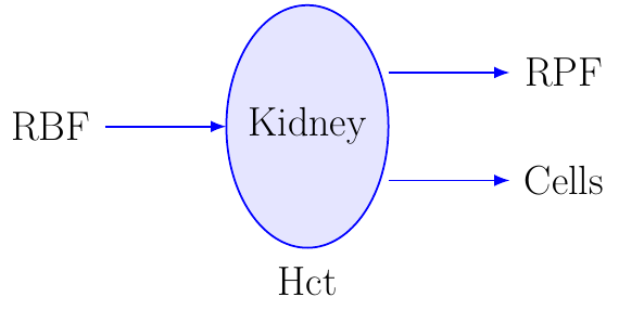 Renal Plasma Flow Estimate