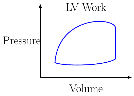 Left Ventricular Stroke Work