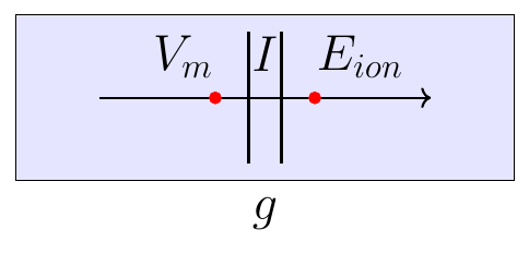 Ionic Current through Membrane Conductance
