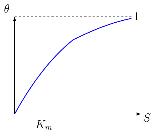 Fractional Enzyme Saturation