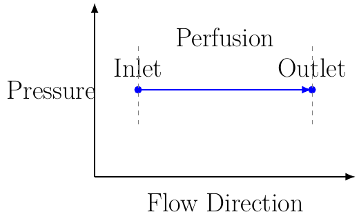 Perfusion Pressure